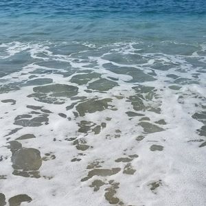 Meet your Posher, Arwyn